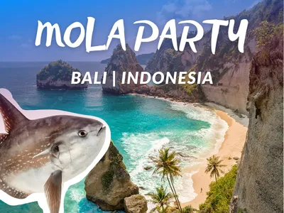 Bali Mola Party