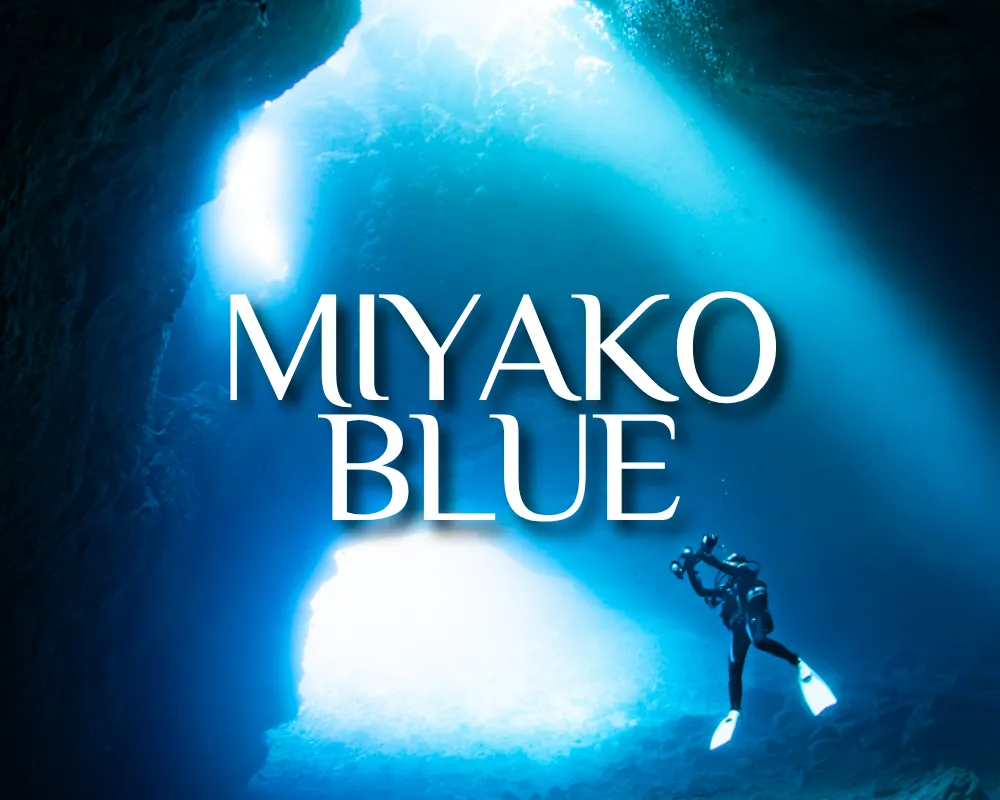 Miyako Blue